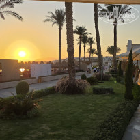 фото из отзыва ID 2745963