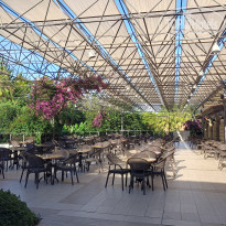 фото из отзыва ID 2745962