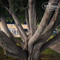 фото из отзыва ID 2745971