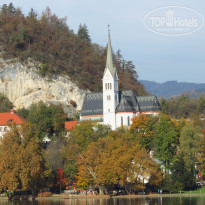 фото из отзыва ID 2746007