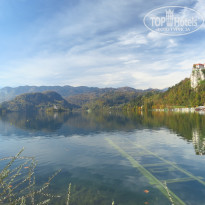 фото из отзыва ID 2746007