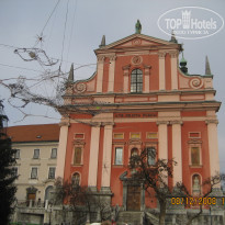 фото из отзыва ID 2746007