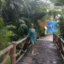 фото из отзыва ID 2746029