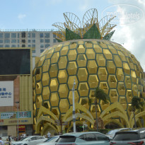 фото из отзыва ID 2746029