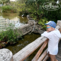 фото из отзыва ID 2746029