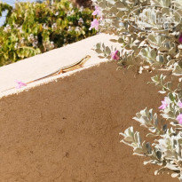 фото из отзыва ID 2746043