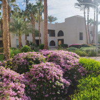 фото из отзыва ID 2746043