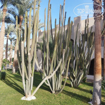 фото из отзыва ID 2746043