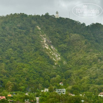 фото из отзыва ID 2746064