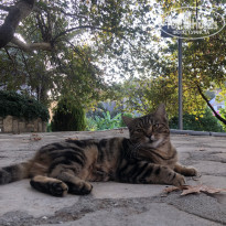 фото из отзыва ID 2745914