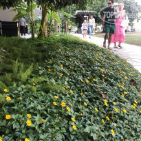 фото из отзыва ID 2745914