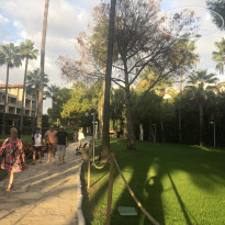 фото из отзыва ID 2745914