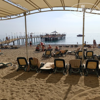 фото из отзыва ID 2746094