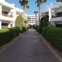 фото из отзыва ID 2746115