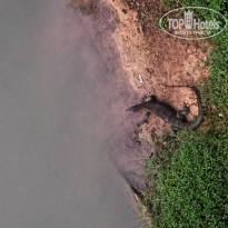 фото из отзыва ID 2746118