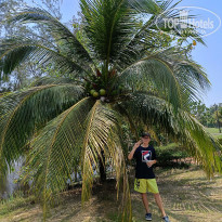 фото из отзыва ID 2746118