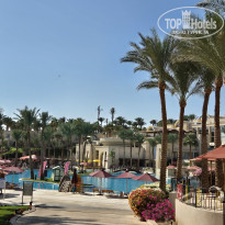 фото из отзыва ID 2746144