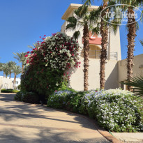 фото из отзыва ID 2746144