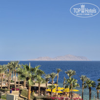 фото из отзыва ID 2746144