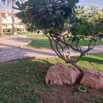 фото из отзыва ID 2745952