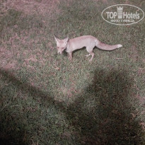 фото из отзыва ID 2745952