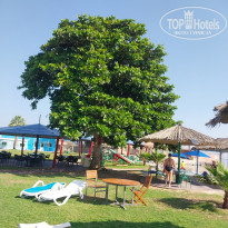 фото из отзыва ID 2745952