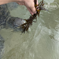 фото из отзыва ID 2746170