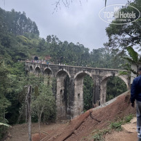 фото из отзыва ID 2746170