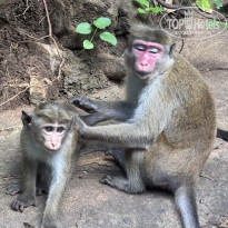 фото из отзыва ID 2746170