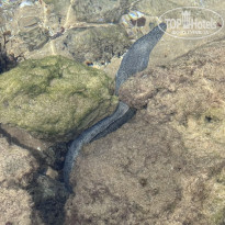 фото из отзыва ID 2746170