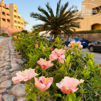 фото из отзыва ID 2746193