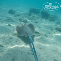 фото из отзыва ID 2746193