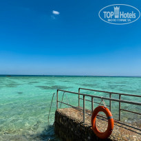 фото из отзыва ID 2746193