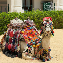 фото из отзыва ID 2746193