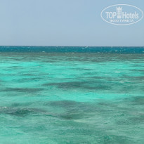 фото из отзыва ID 2746193