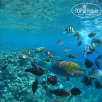 фото из отзыва ID 2746193