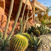 фото из отзыва ID 2746193