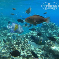 фото из отзыва ID 2746193