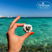 фото из отзыва ID 2746193