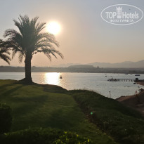 фото из отзыва ID 2746202