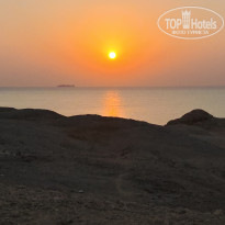 фото из отзыва ID 2746202