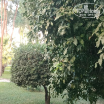 фото из отзыва ID 2746214