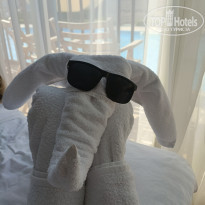 фото из отзыва ID 2746221