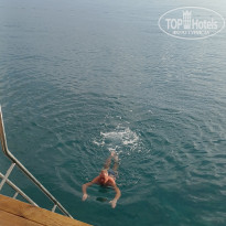 фото из отзыва ID 2746230