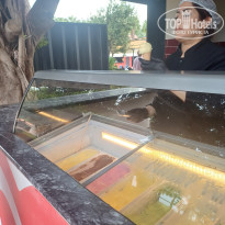 фото из отзыва ID 2746230