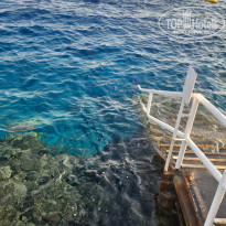 фото из отзыва ID 2746233