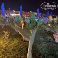 фото из отзыва ID 2746245