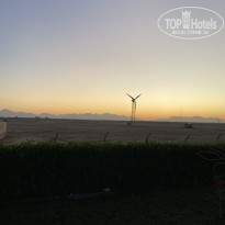 фото из отзыва ID 2746245