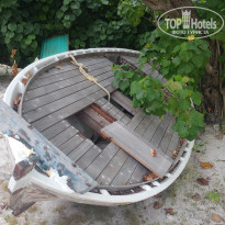 фото из отзыва ID 2746234