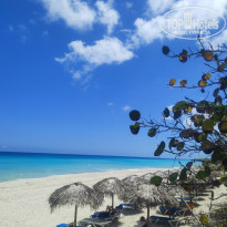 фото из отзыва ID 2746258